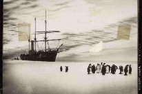 Expeditionsschiff Aurora mit Pinguinen, 1913