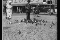 Mann füttert Tauben auf dem Marktplatz, 1931